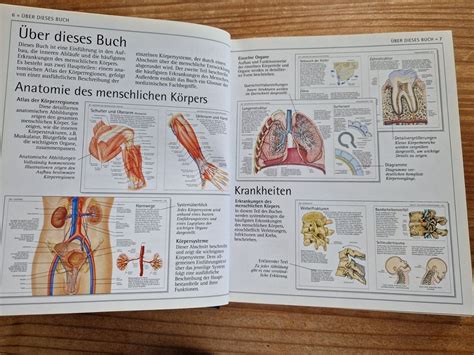 Anatomie Atlas Aufbau Und Funktionsweise Des Menschl K Rpers Kaufen