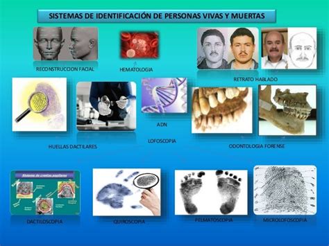 Sistema De Identificacion De Personas