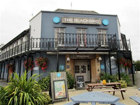 Blackbird Leicester Camra Experience