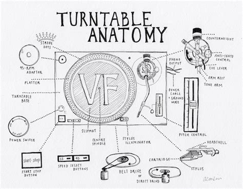 Turntable Anatomy: An interactive guide to the key parts of a record ...