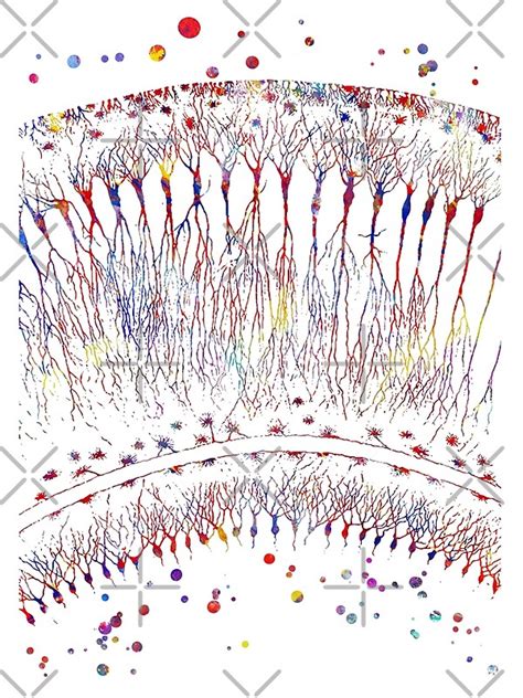 "Cortical Neurons" by Rosaliartbook | Redbubble