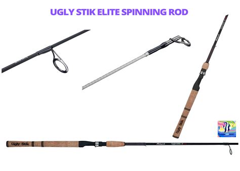 Best Spinning Rod For Trout Review Buying Guide