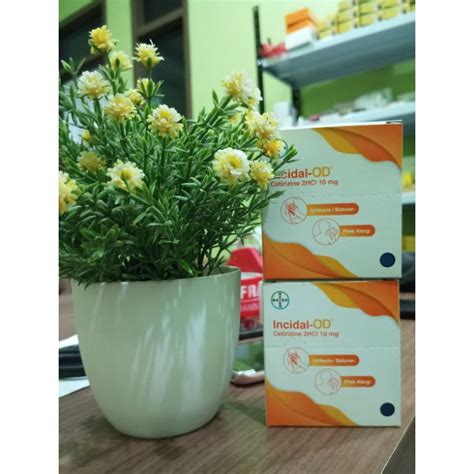 Jual Incidal Od Mg Box Kapsul Obat Alergi Shopee Indonesia