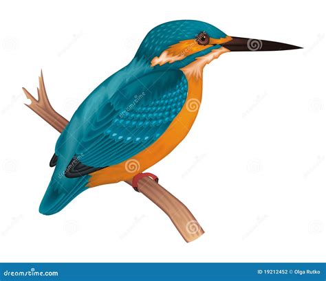 Kingfisher stock vector. Illustration of silhouette, beak - 19212452