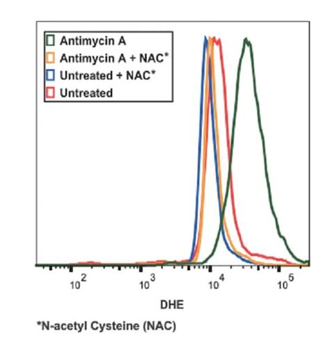 Reactive Oxygen Species Ros Assay Kit At James Munoz Blog