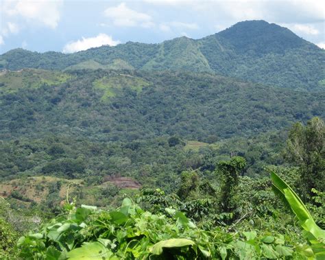 Adjuntas, Puerto Rico / Campo / Country side | Bosque del Pu… | Flickr