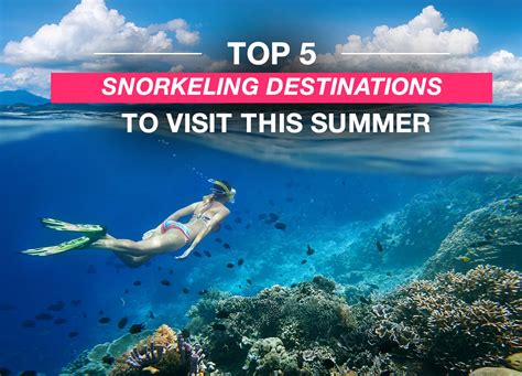 5 Top Snorkeling Destinations to Visit This Summer - Carefree Destinations