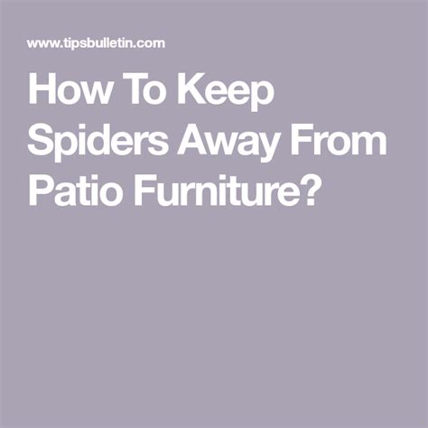 How To Keep Spiders Away From Patio Furniture