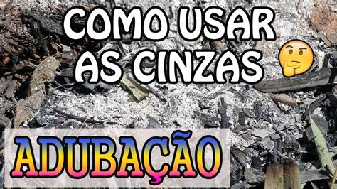 Como usar as cinzas na adubação YouTube