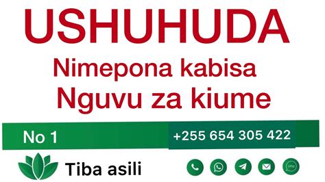 SULUHISHO LA NGUVU ZA KIUME 255656302000 YouTube