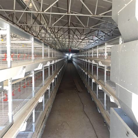 South africa layer broiler chicken cage poultry farm house design ...