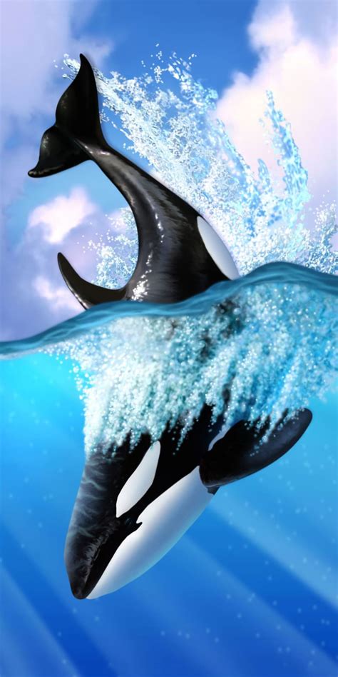 Orca Wallpaper - iXpap