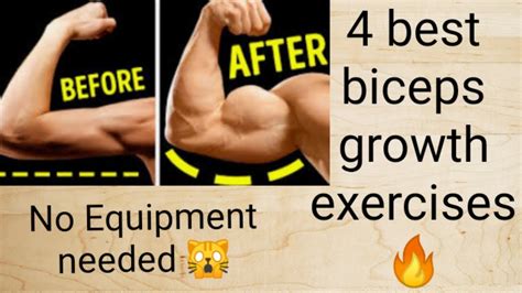 BEST EXERCISES FOR BIG BICEP AT HOME NO EQUIPMENT HOME WORK OUT