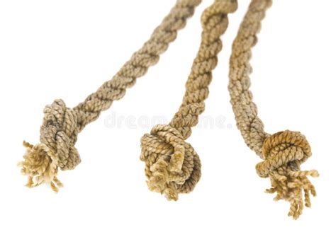 Rope with Knots Isolated on White Background Stock Image - Image of connection, copy: 215512965