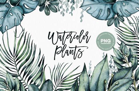 Watercolor Plants | Illustrations ~ Creative Market