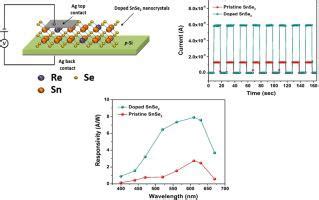 铼置换掺杂增强基于 n SnSe2 p Si 异质结的可调谐高性能可见光光电探测器的光响应 Applied Surface Science