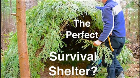 The Best Survival Shelter How To Build The Best Survival Shelter In The