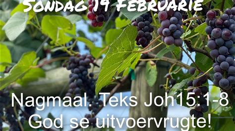 Nagmaal God Sevuitvoervrugte Joh 15 1 8 Youtube