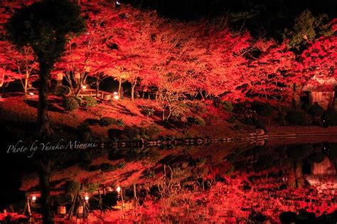 【広島紅葉スポット】名勝縮景園の紅葉ライトアップ2023は11月22日から12月2日まで開園！ 広島県広島市 備後カメラ部