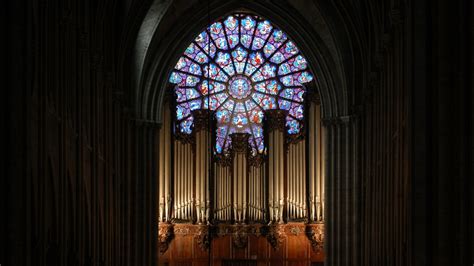 Notre Dame Cathedral Organ