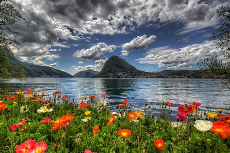 Stunning Swiss Landscape Mountain Lake And Flowers Hd Wallpaper