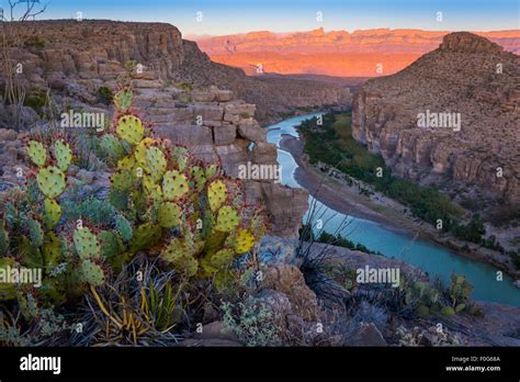 Big Bend National Park In Texas Is The Largest Protected Area Of