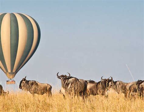 Hot Air Balloon, Masai Mara Balloon Safari