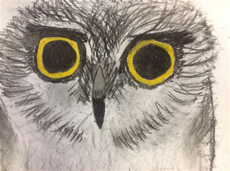 School Owl Art for Kids