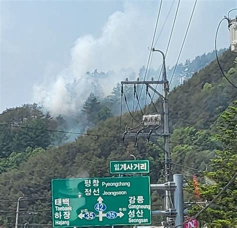 정선 임계면서 산불 발생헬기 2대 투입 진화 중 네이트 뉴스