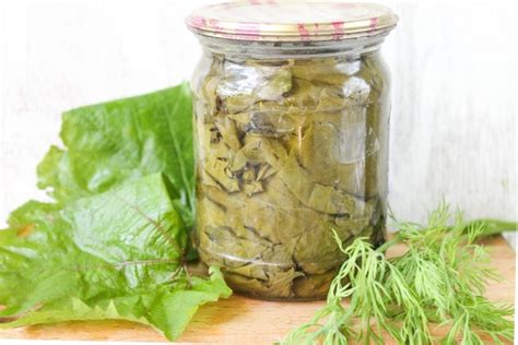 Как мариновать виноградные листья для долмы на зиму: рецепт с фото ...