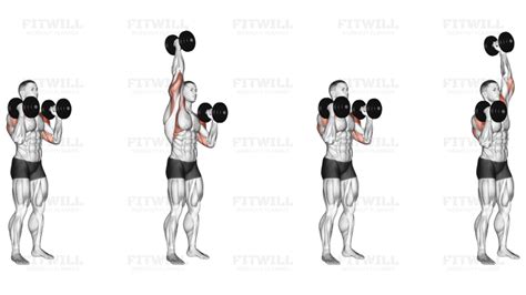 Dumbbell Standing Alternate Overhead Press Exercise Guide Video Techniques Benefits How To