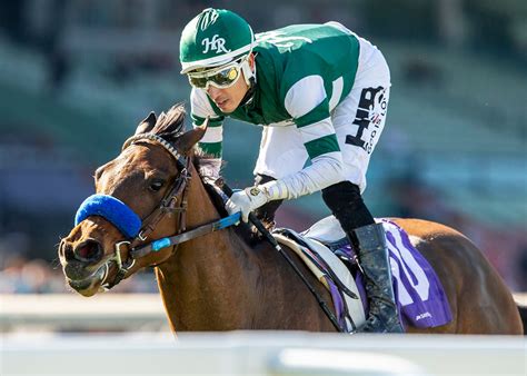 Antifona Shows Turf Sprints To Her Liking Takes Sweet LIfe Stakes