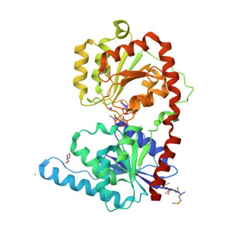 RCSB PDB - 6EJI: Structure of a glycosyltransferase