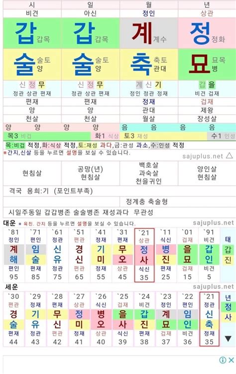 24년 갑진년 진술충 지식in