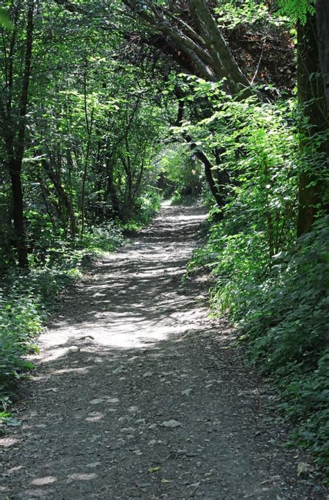 Narrow Dirt Path Stock Photos Free Royalty Free Stock Photos