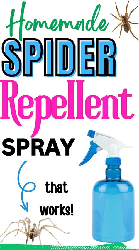 Get Rid Of Spiders For Good With This All Natural Spider Spray Artofit