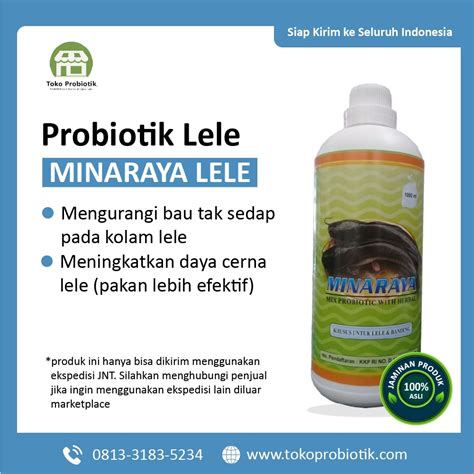 Jual Probiotik Lele Minaraya Lele Efektif Untuk Tingkatkan Produksi