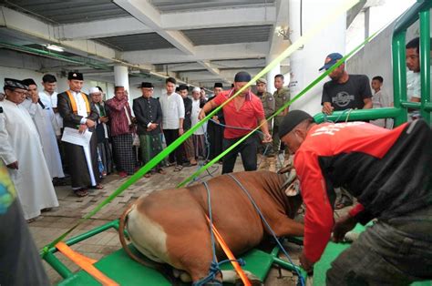 Pj Gubernur Sulsel Saksikan Pemotongan Hewan Kurban Di Masjid Kubah 99