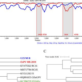 Genome Recombination Analysis Of The Ospv Hb Strain A