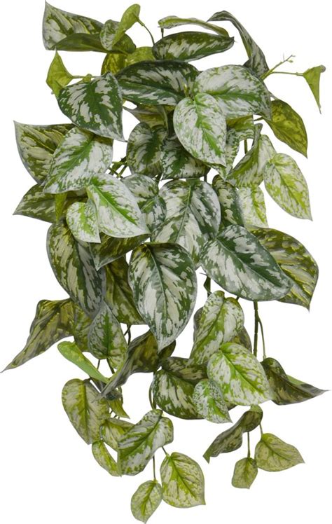 Scindapsus Pictus Kunst Hangplant Deluxe 50cm Bol