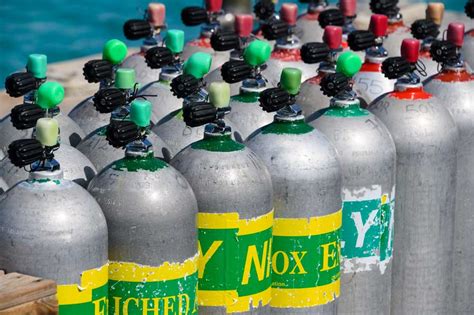 The Benefits Of Diving With Nitrox LaptrinhX News