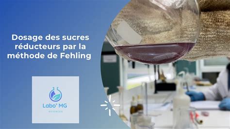 Dosage des sucres réducteurs par la méthode de Fehling YouTube