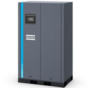 Atlas Copco On Site Nitrogen Generators Ngm And Ngp Models