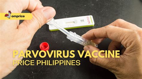 √ Parvovirus Vaccine Price Philippines 2024