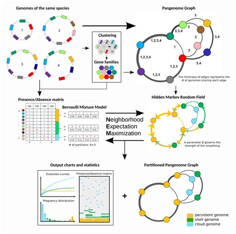 Conceptualization And Exploitation Of A Partitioned Pangenome Graph As