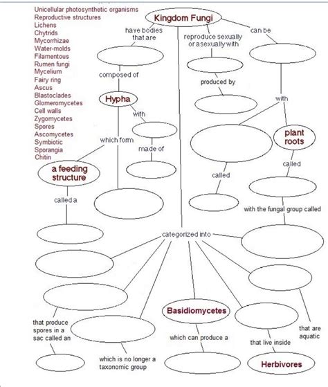 Chapter 23 Concept Map This Is A Concept Map Where