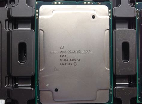 Gold 6142 Cpu Cd8067303405400 16-core 2.6ghz 22mb L3 Cache 10.4gt/s ...