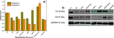 A Relative Quantity Of The Expression Of Caspase 3 And Caspase 9 From