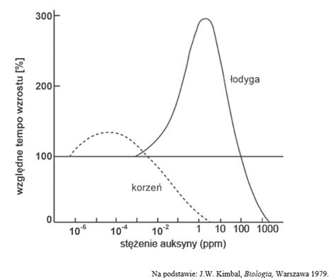 Na wykresie przedstawiono wpływ stężenia auksyny na wzrost korzenia i