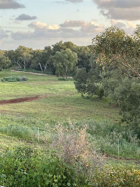 Hill River Farm - Hipcamp in Moonyoonooka, Western Australia